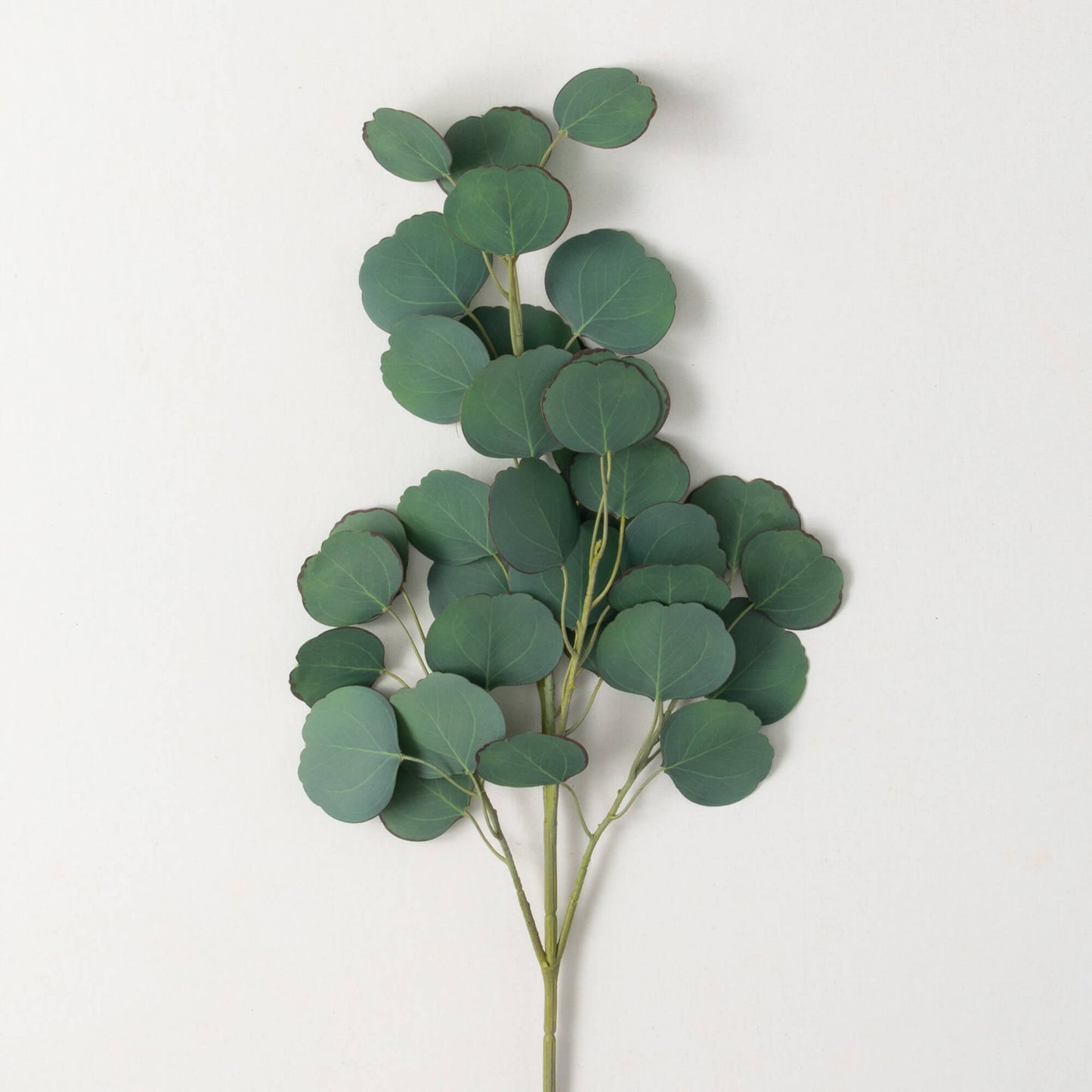 Silver Dollar Eucalyptus Spray