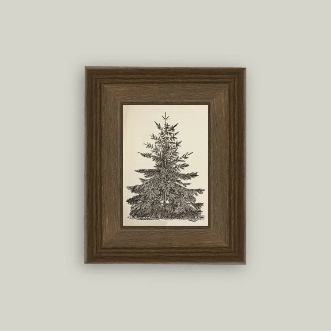 Vintage Pine