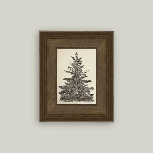Vintage Pine