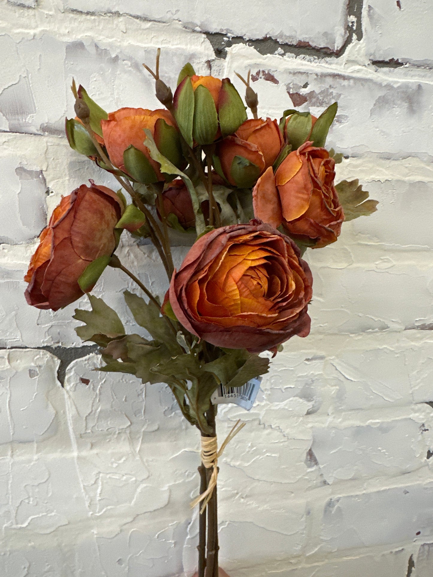 Rust Ranunculus Bundle