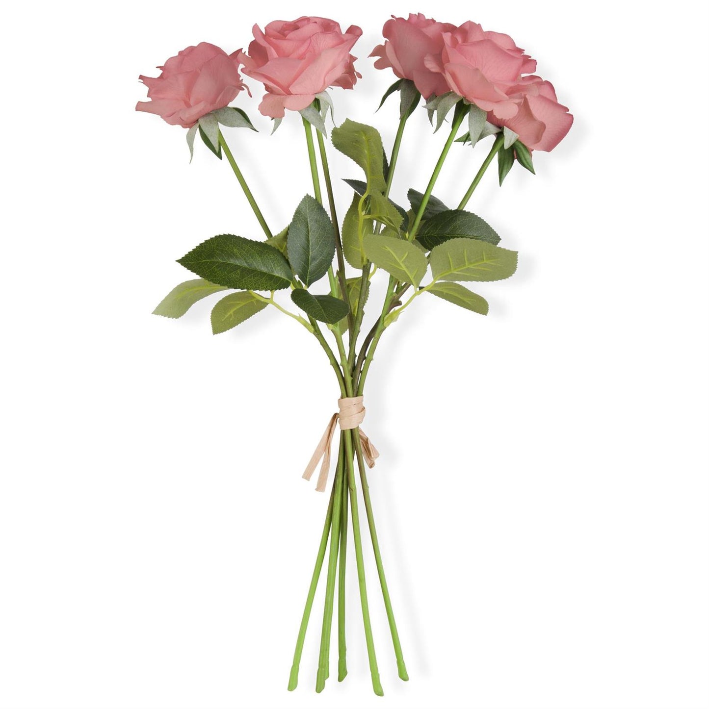 Coral Rose Stem Bundle