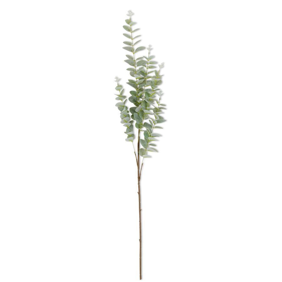 38 Inch Light Green Eucalyptus Stem