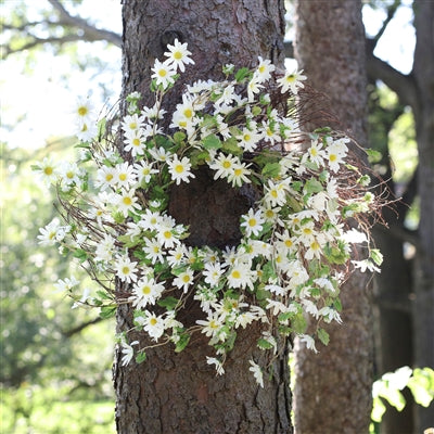 Daisy Wreath