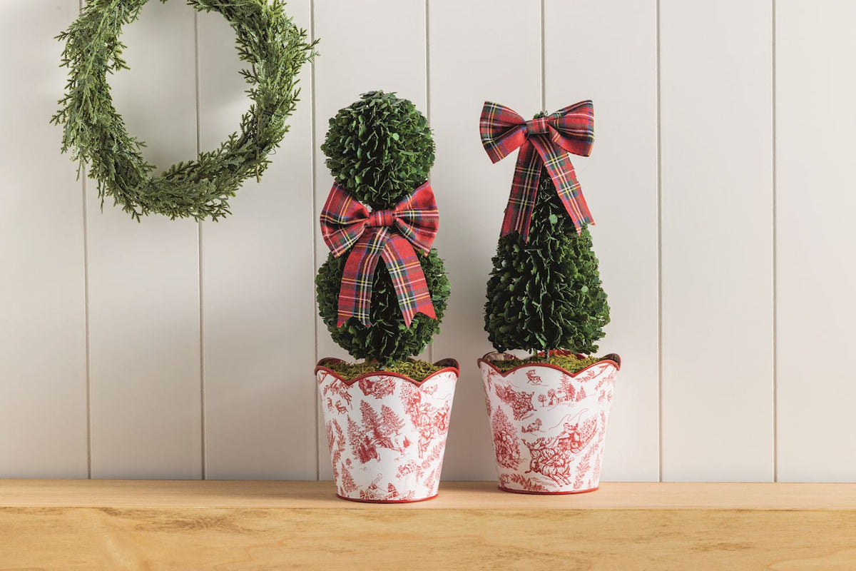 Toile Boxwood Topiaries