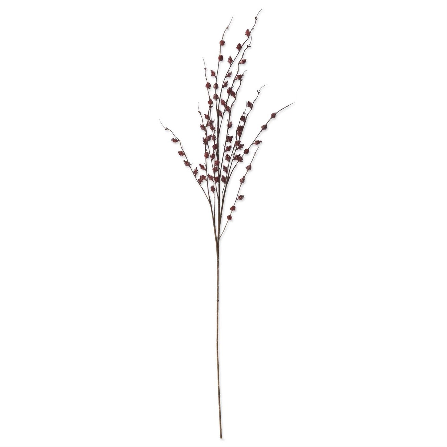 Burgundy Straw Flower Stem