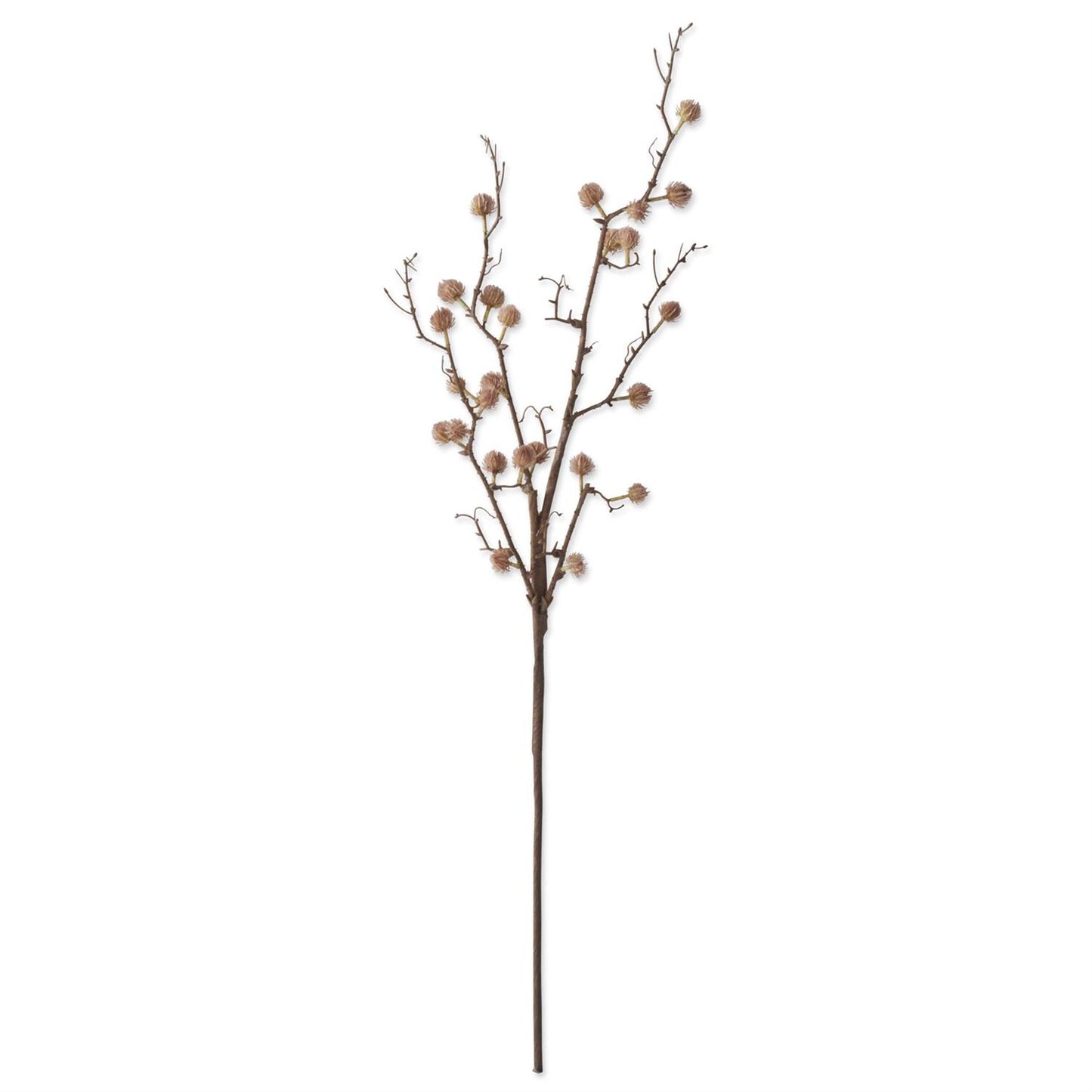 Light Brown Thistle Branch