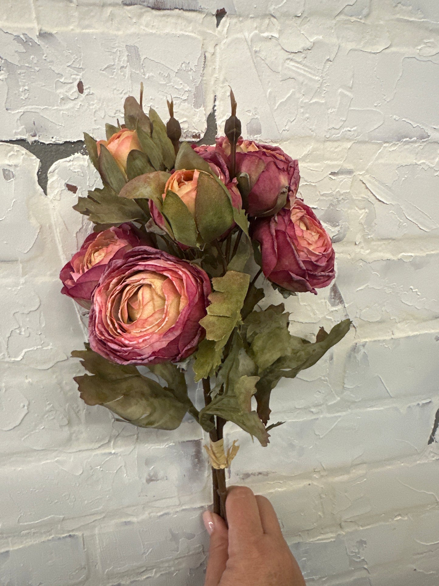 Dried Ranunculus Bundles