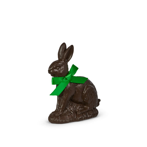Chocolate Bunny