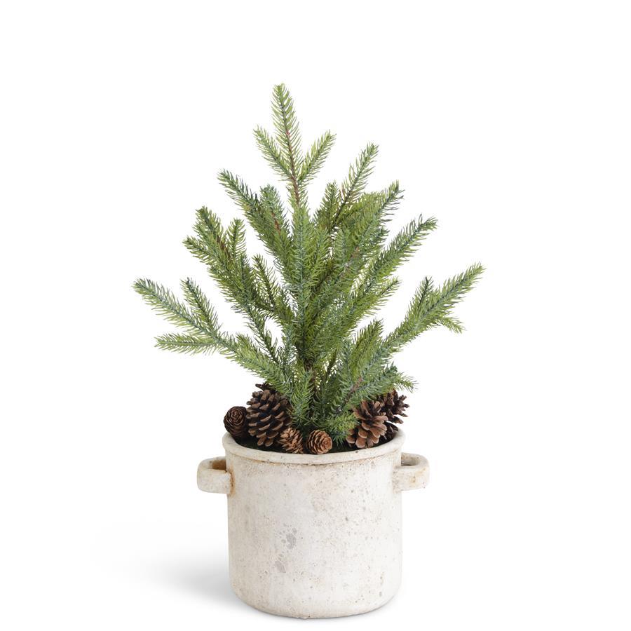 Pine Tree In Cream Crock