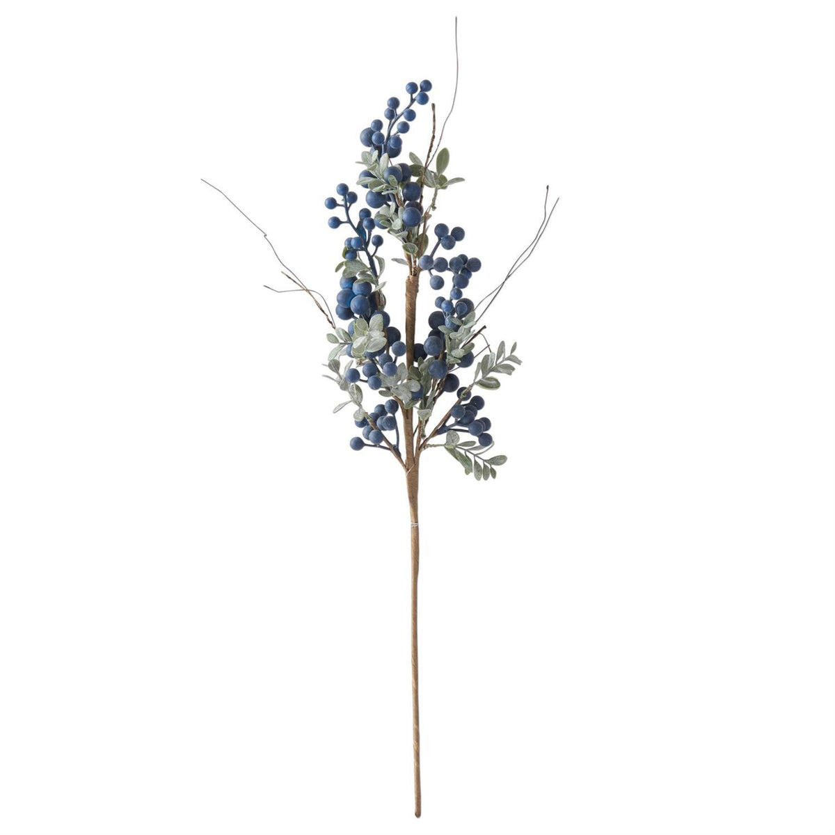 Blue Grape Berry Stem
