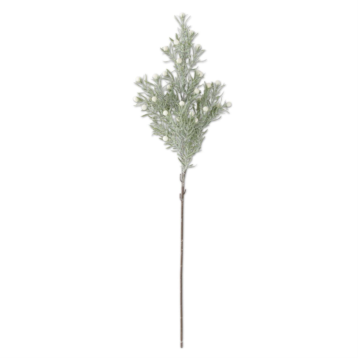 Rosemary Stem With White Berries