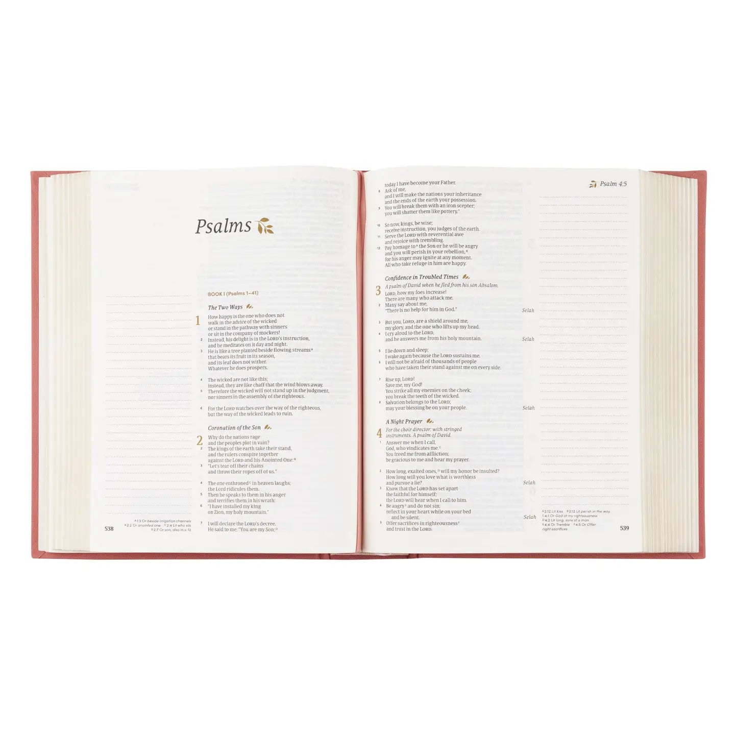 CSB Notetaking Bible Rosedal Theme