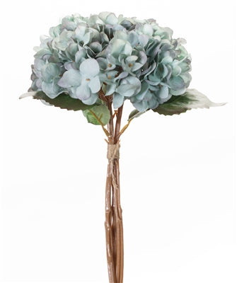 Hydrangea Bundle