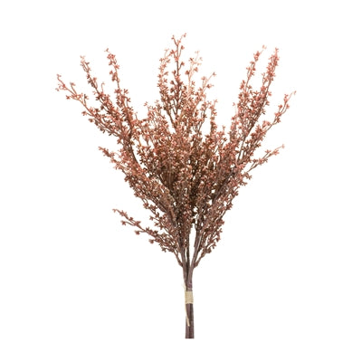 Mini Seed Pod Bundle