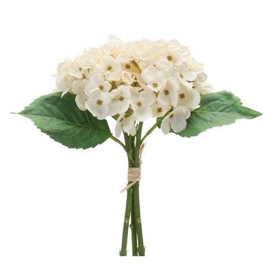 Hydrangea Bundle