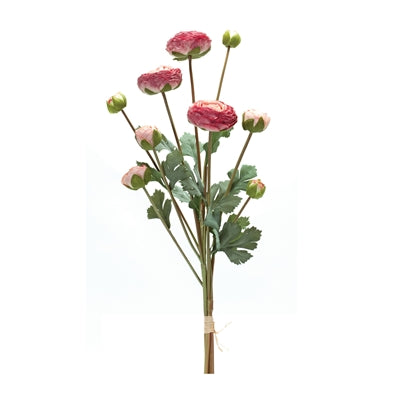 Ranunculus Bundle