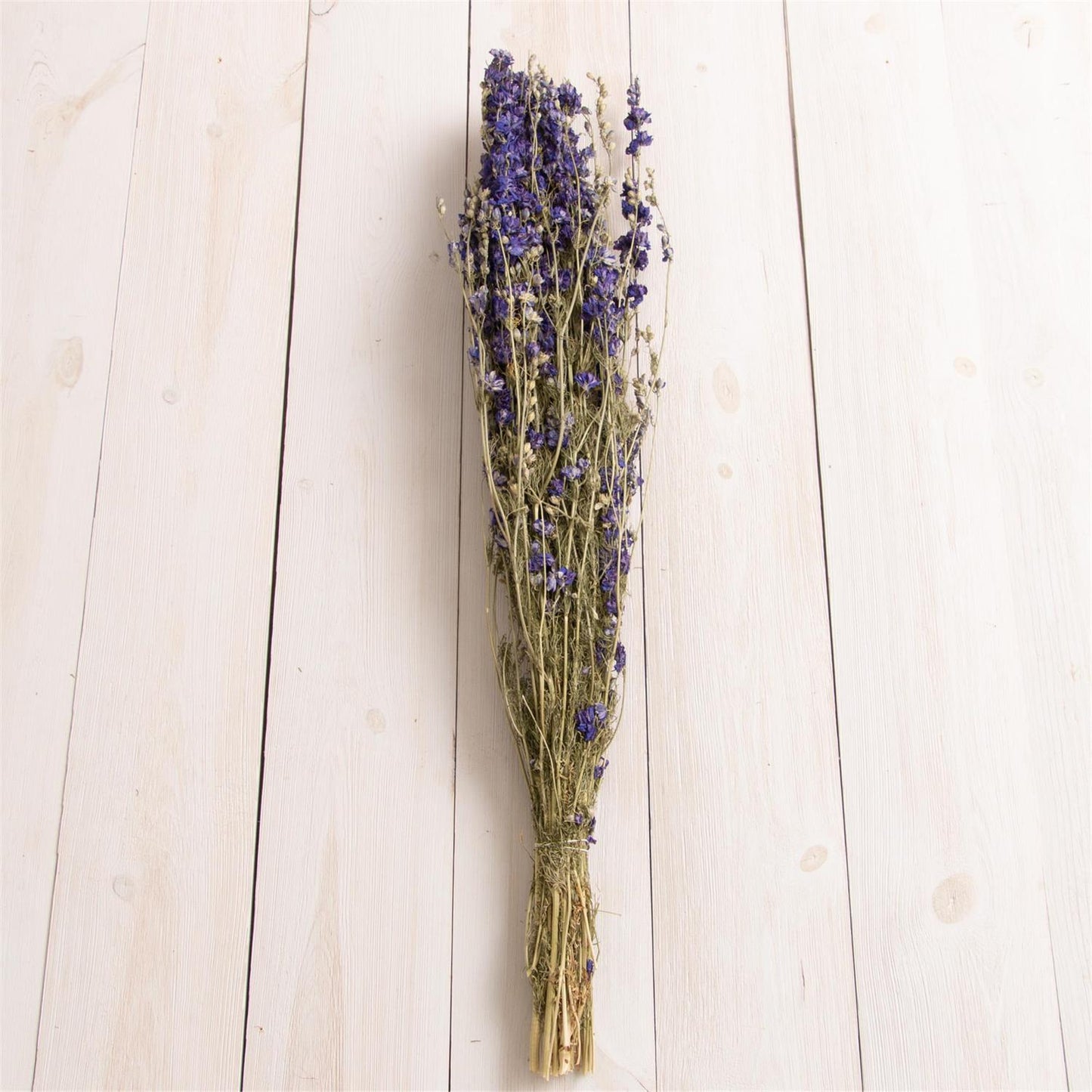 Dried Blue Larkspur Bundle