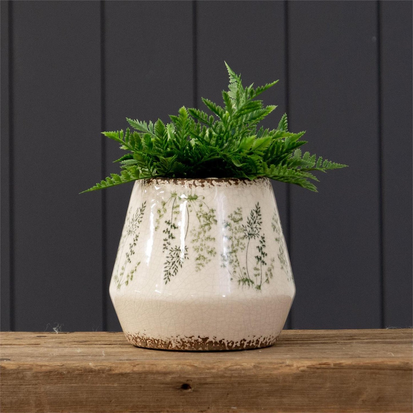 Fern Pot