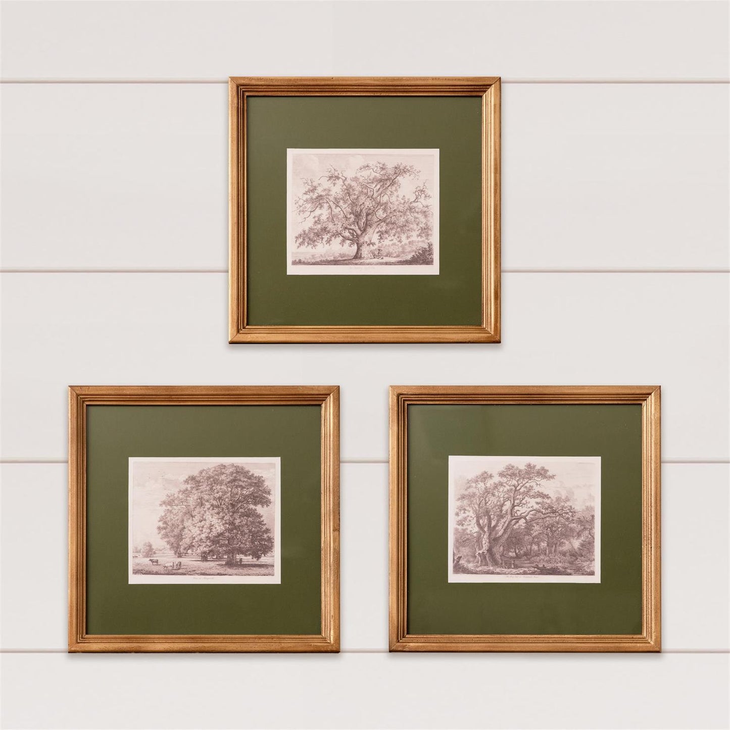 Framed Tree Sketch