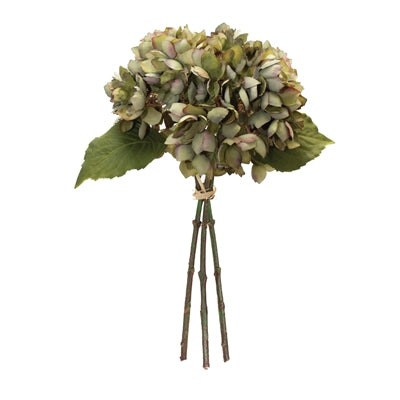Hydrangea Bundle