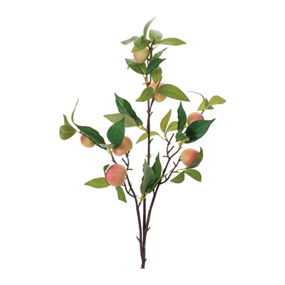 Peach Branch