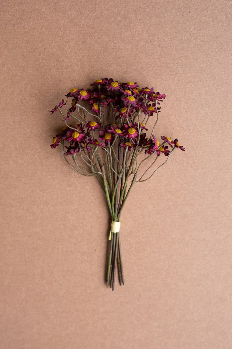 Burgundy Chamomile Bundle