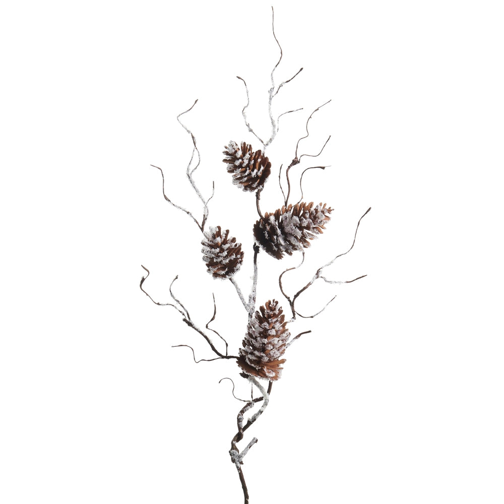 Frosted Pinecone Branch