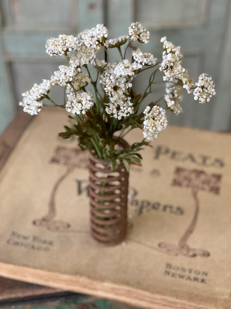 Fennel Flower Bundle