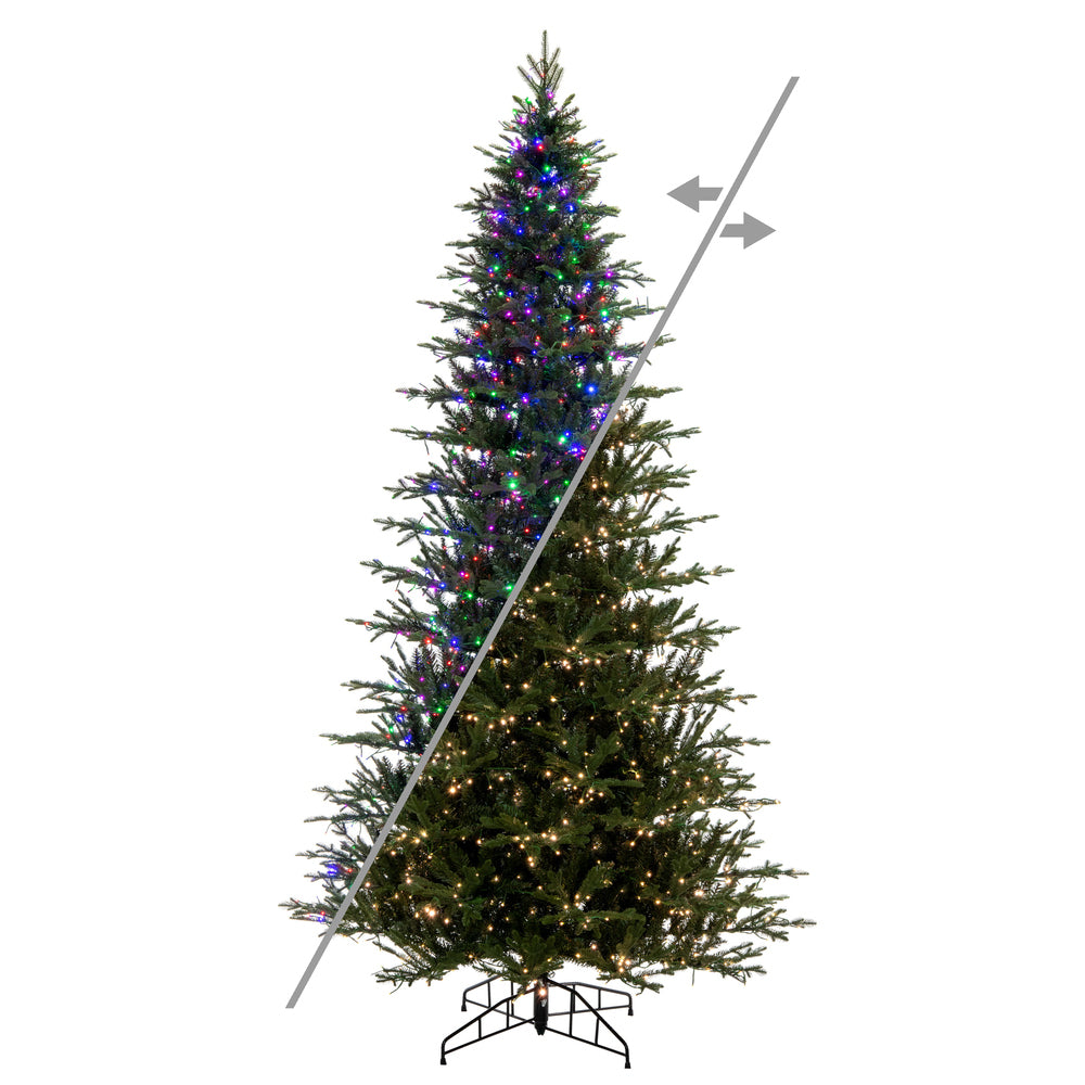 Kamas Fraser Fir Christmas Tree