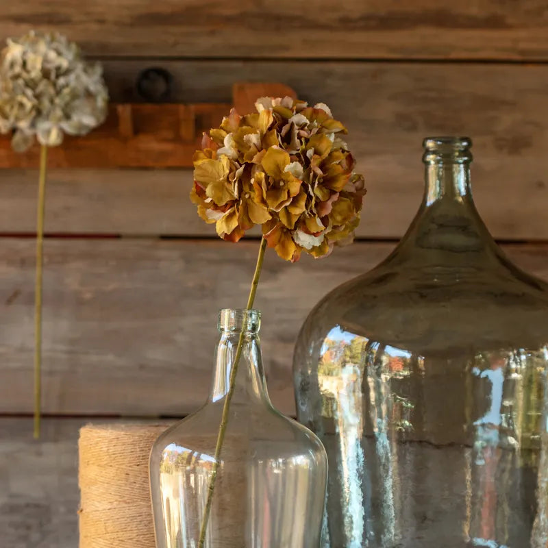 Late Season Green Hydrangea