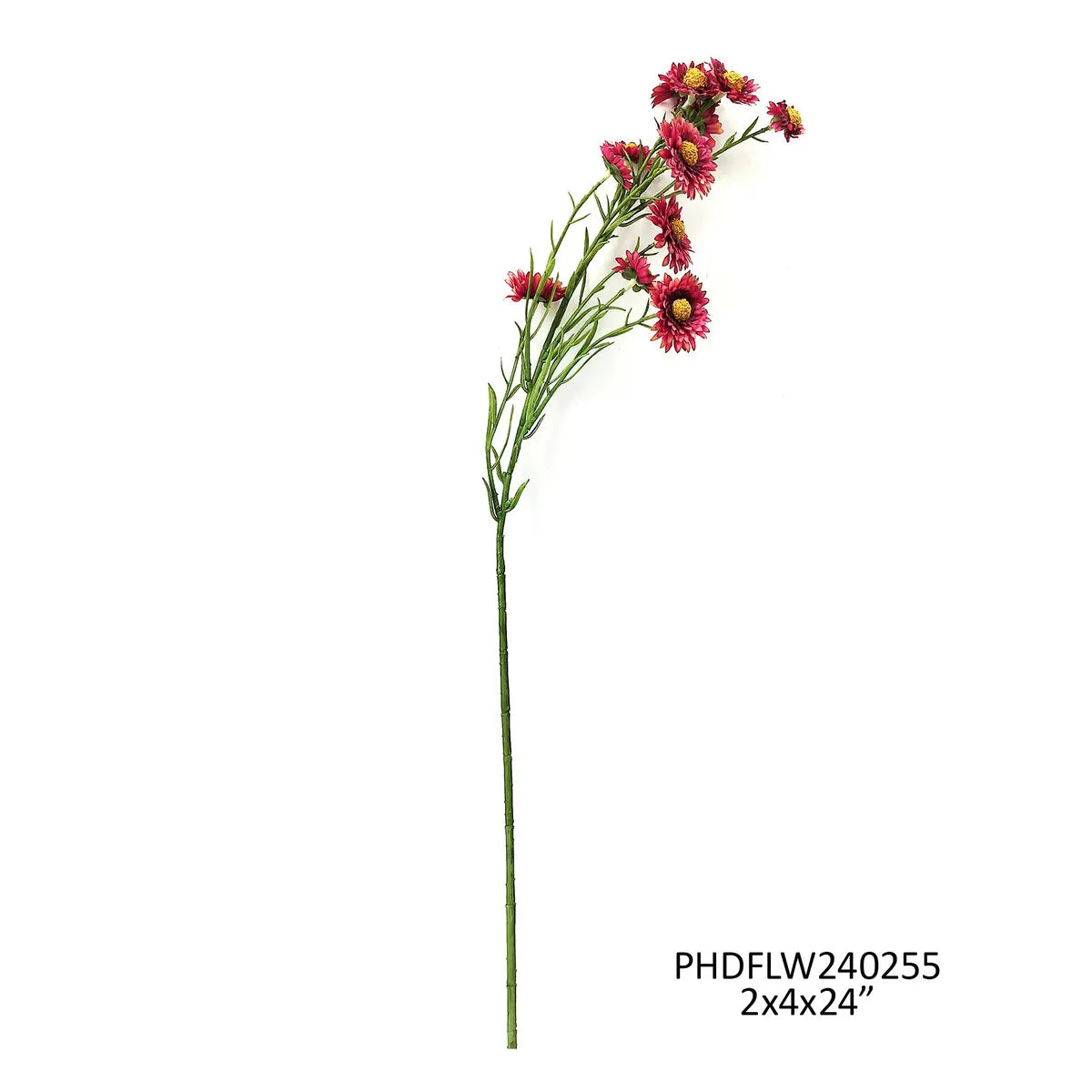 Rosewood Aster