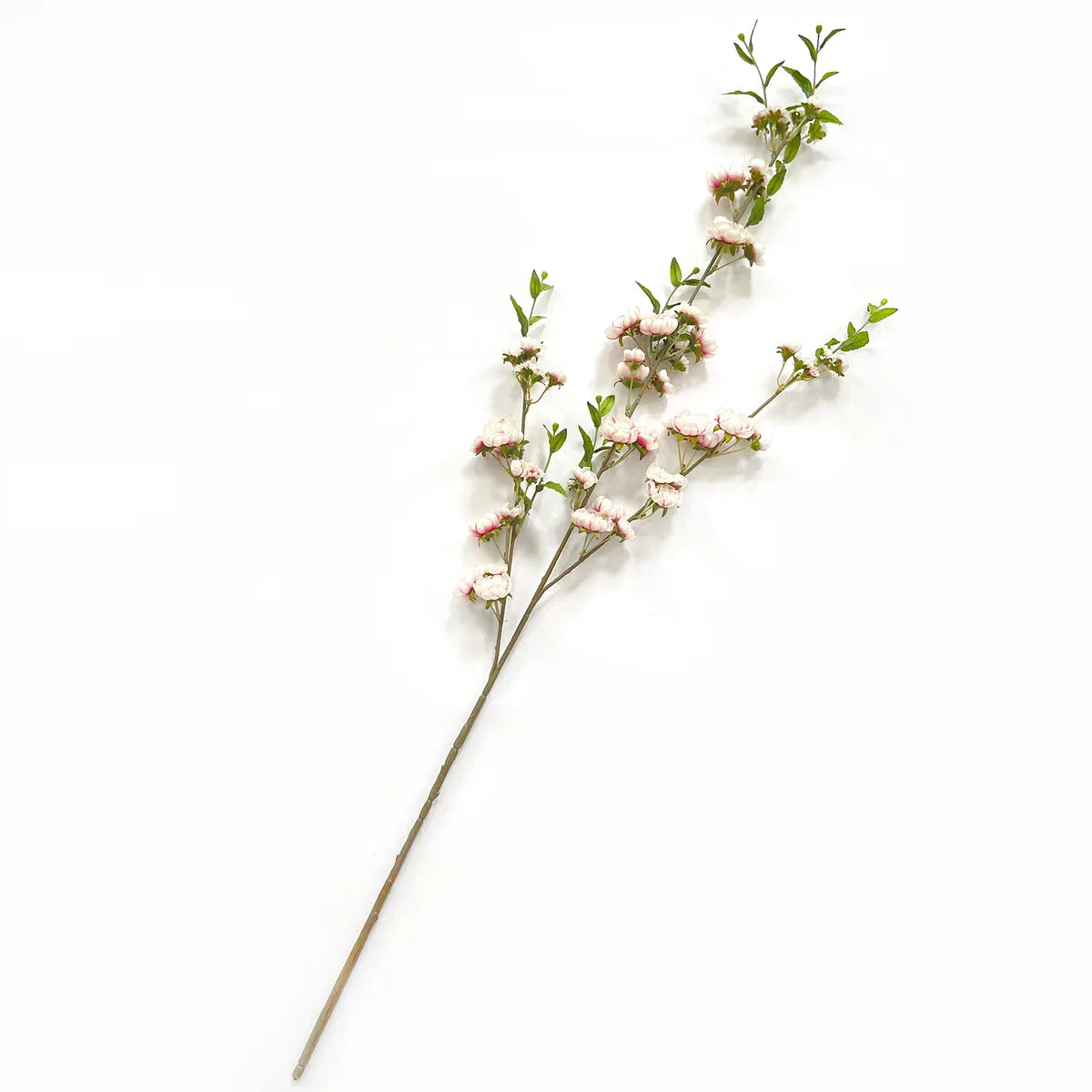 Blush Cherry Blossom