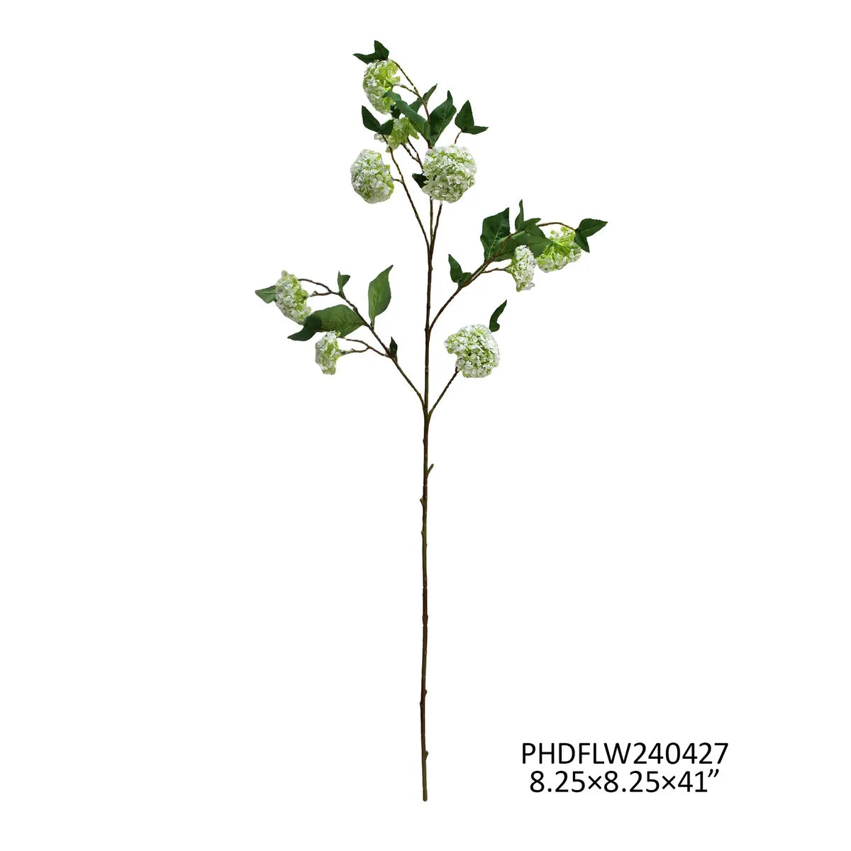 Snowball Viburnum White