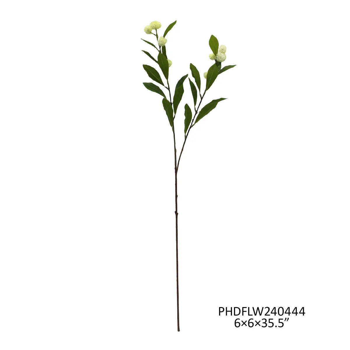 Button Bush Stem