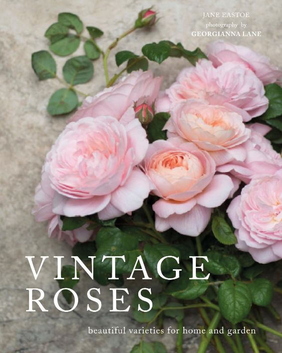 Vintage Roses
