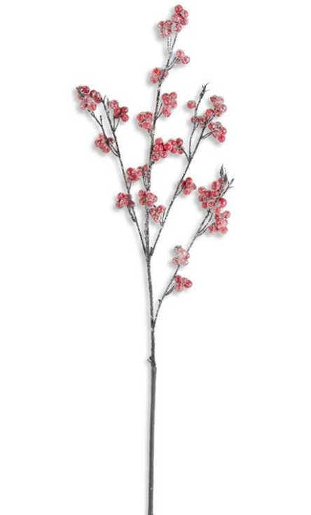 Red Berry Branch