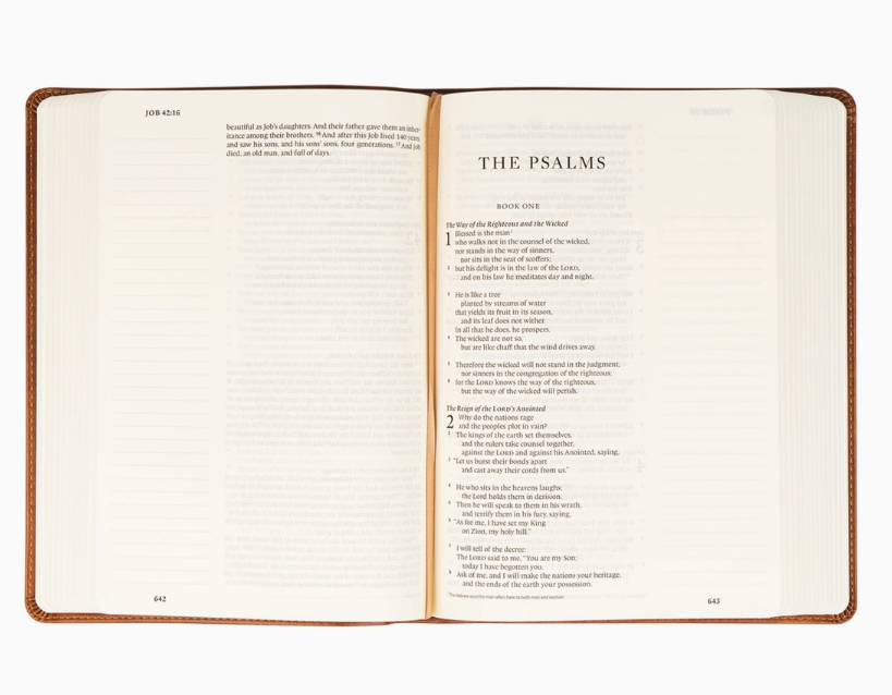 Sierra Journaling Bible