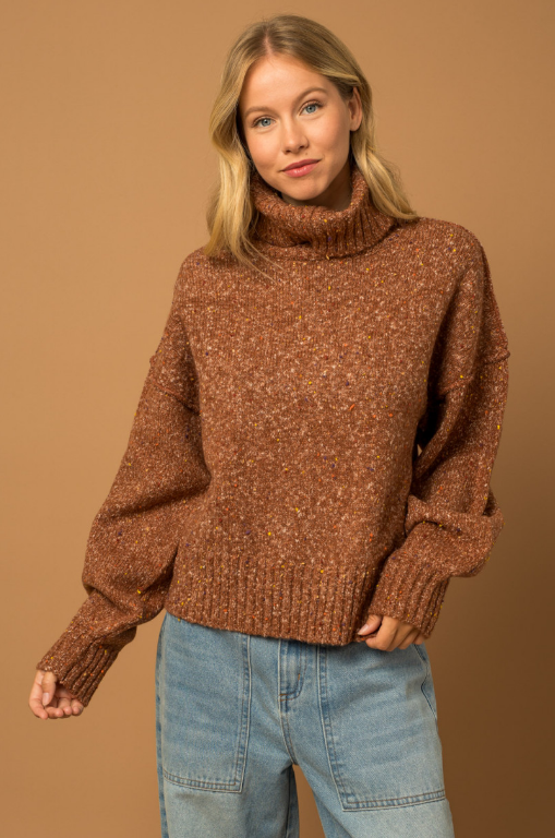Turtleneck Oversized Sweater
