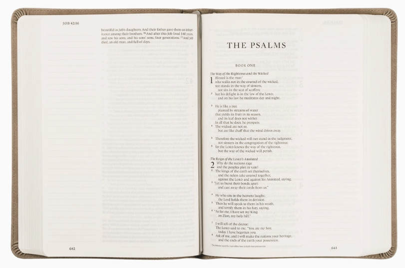 ESV Large Print Journaling Bible Nara Theme