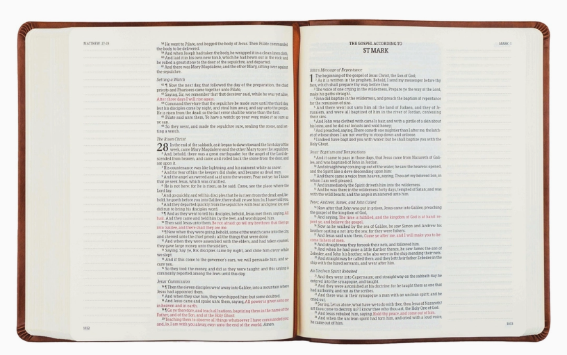 KJV Large Print Notetaking Bible Vienna Theme