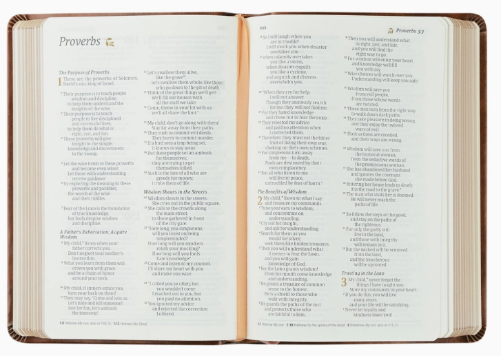 NLT Compact Bible Aurora Theme