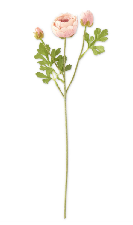 Light Pink Real Touch Ranunculus Stem