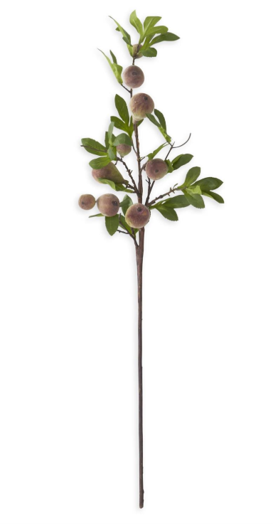 Flocked Fig Stem