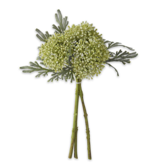 Green Sedum Bundle