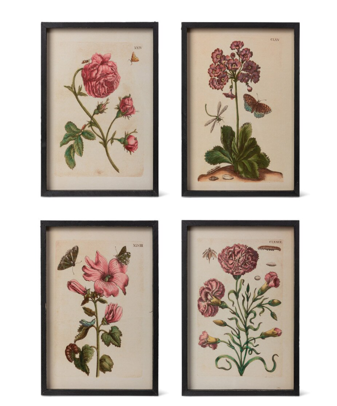 Jardin Boheme Botanical Prints