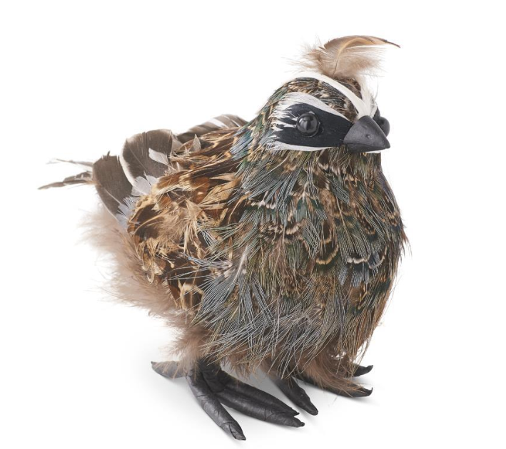 Feathered Quail