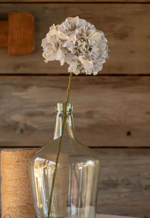Sky Blue Hydrangea