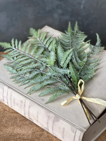 Sawtooth Longacre Fern Bundle