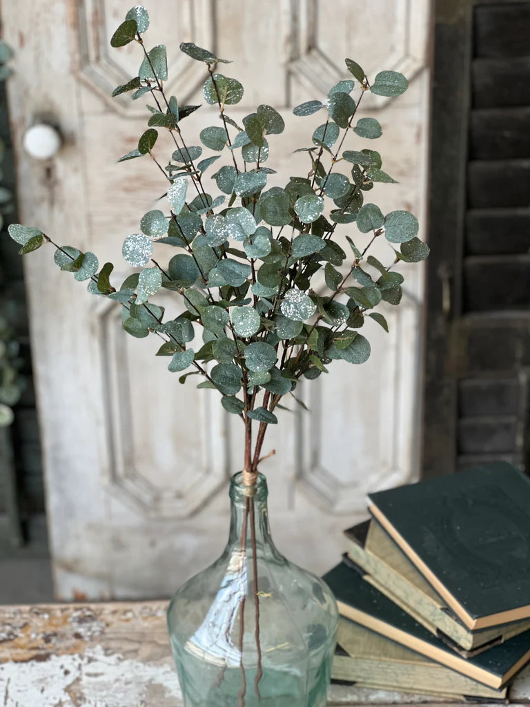 Crisp Air Eucalyptus Bundle