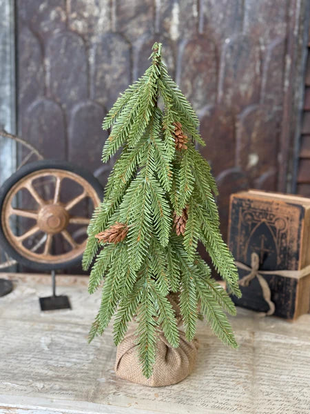 Arden Fir Tree